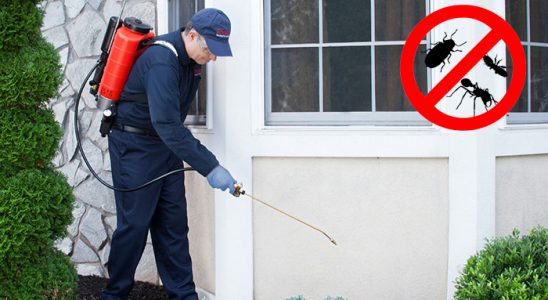 Kulp Gümüşkurt İlaçlama böcek ilaçlama ve haşere kontrolü — ilaclama-tr.com